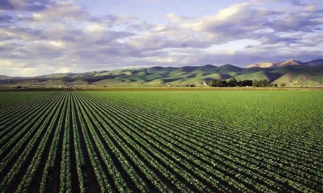 農業有機廢棄物資源化利用技術與設備